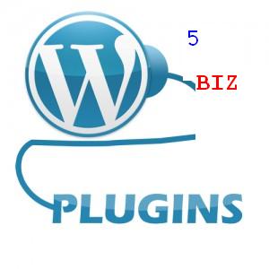 5 business website plugins