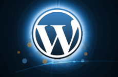 adding excerpts to wordpress