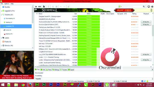 some files I downloaded using uTorrent on Etisalat