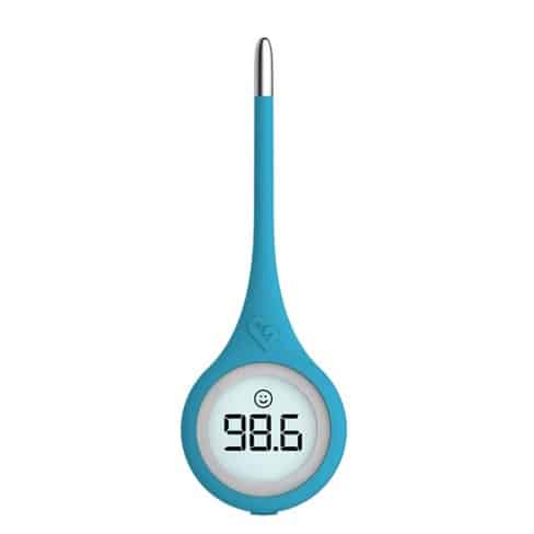 best smart thermometers to buy