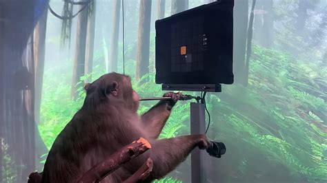 Monkey Plays Video Game with Neural link