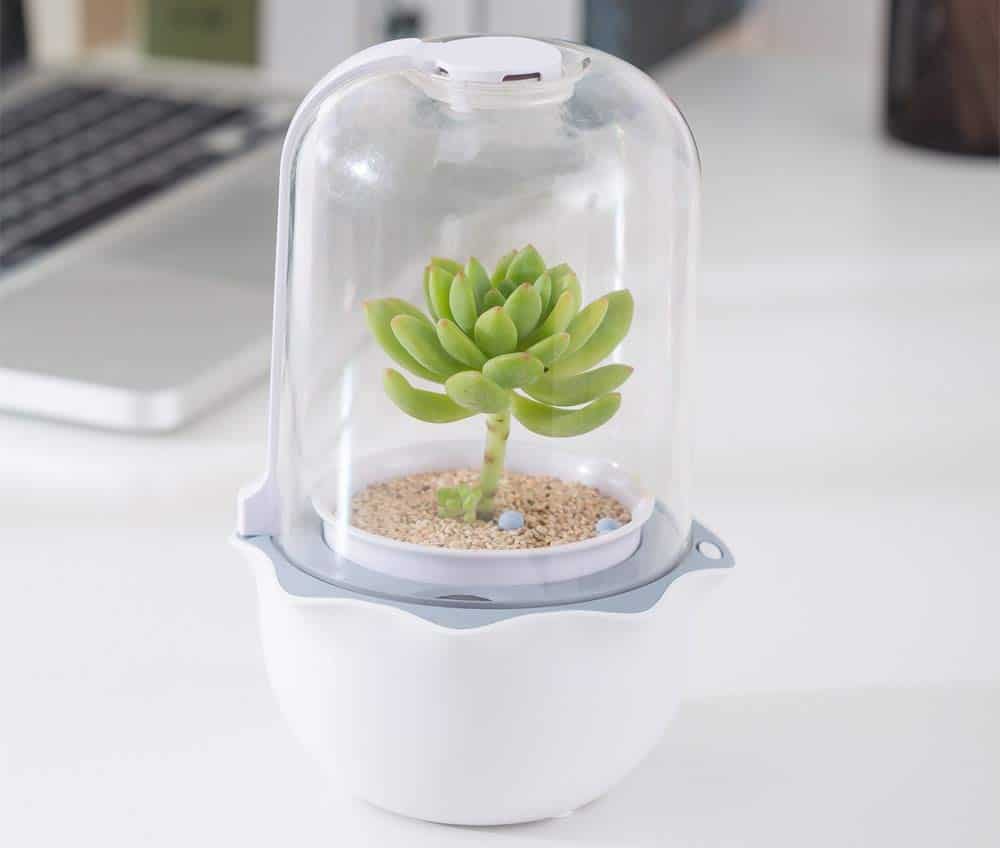 E SUPEREGROW Succulent Pot with Grow Light